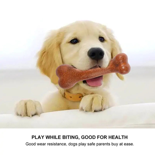 Dogs Tough Bone Chew Toys